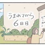 【うまれてから1ヶ月間】産後6日目